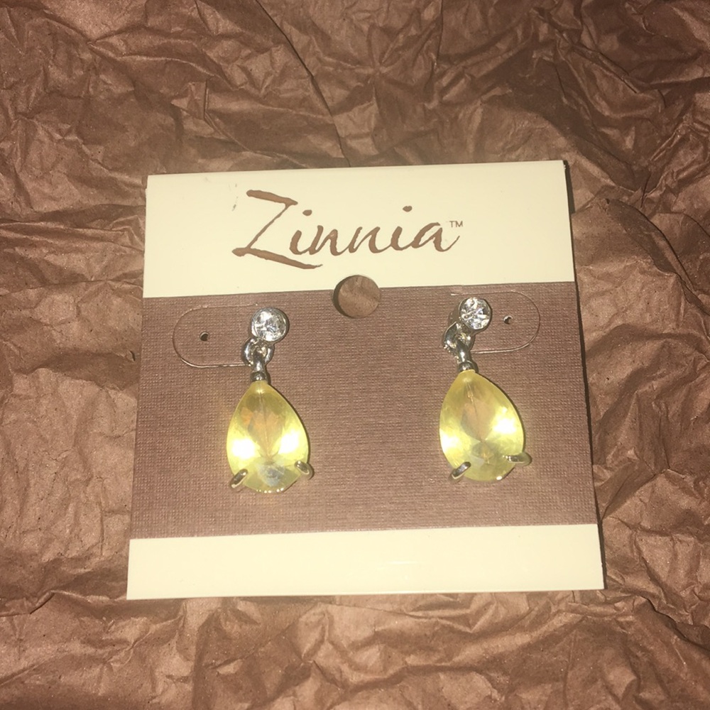 Earnings, New never Worn